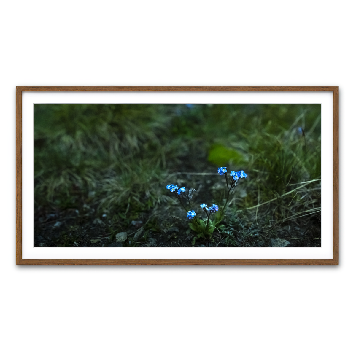 Framed Print 2x1 Walnut