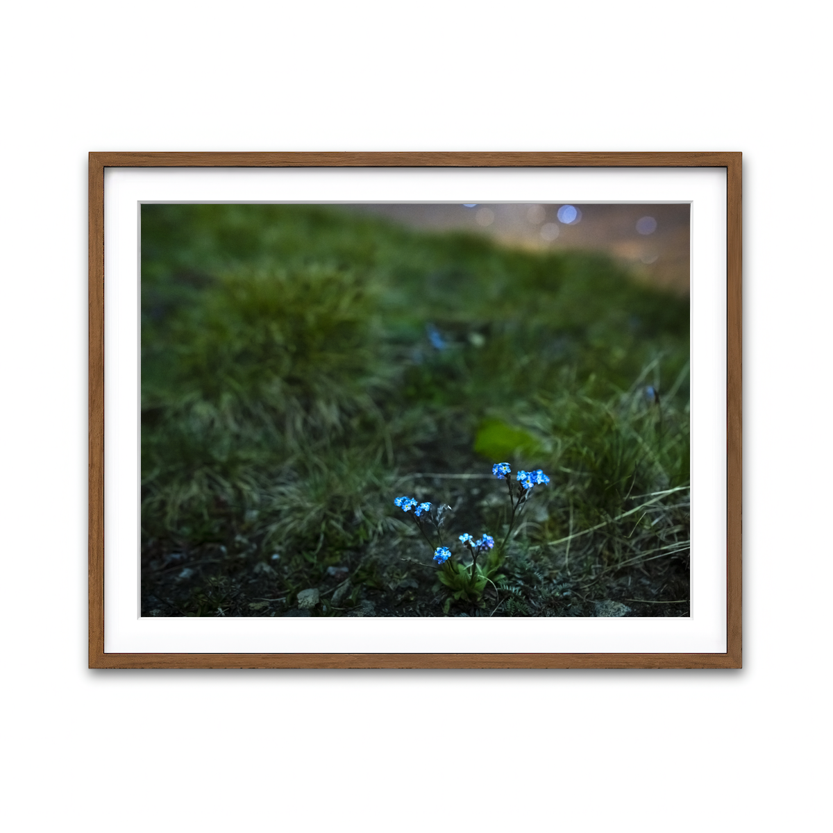 Framed Print 4x3 Walnut