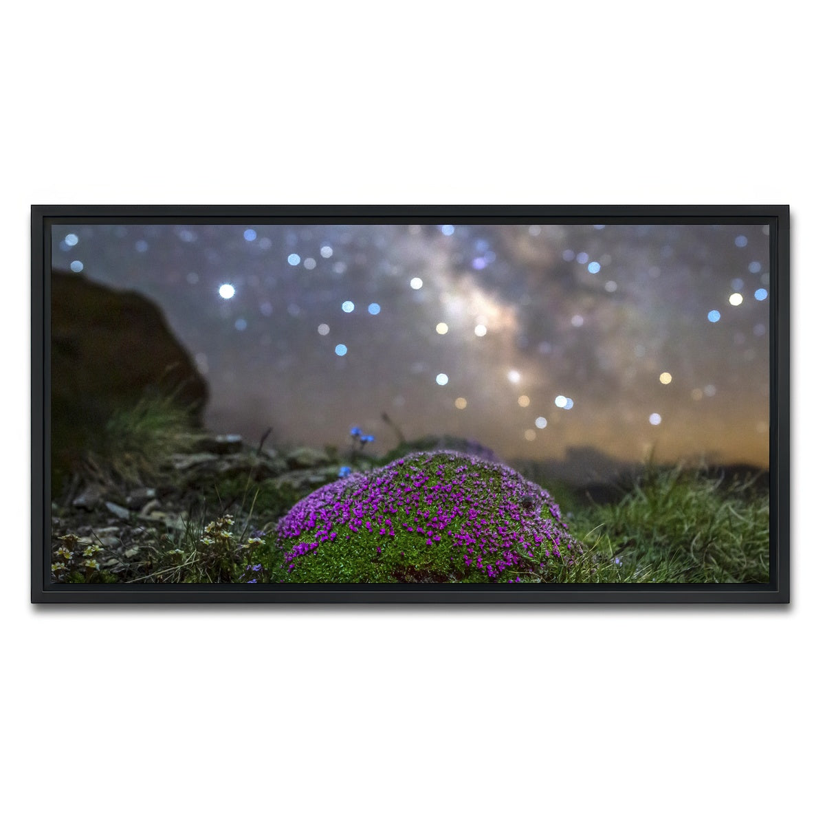AUTO-MOCKUP WHITE | Star Studded Silene | 1 Piece | Black Framed Canvas | group=2x1