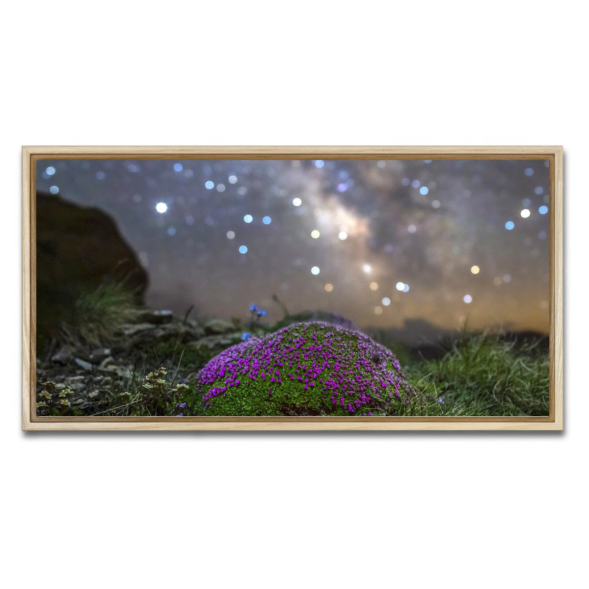 AUTO-MOCKUP WHITE | Star Studded Silene | 1 Piece | Natural Framed Canvas | group=2x1