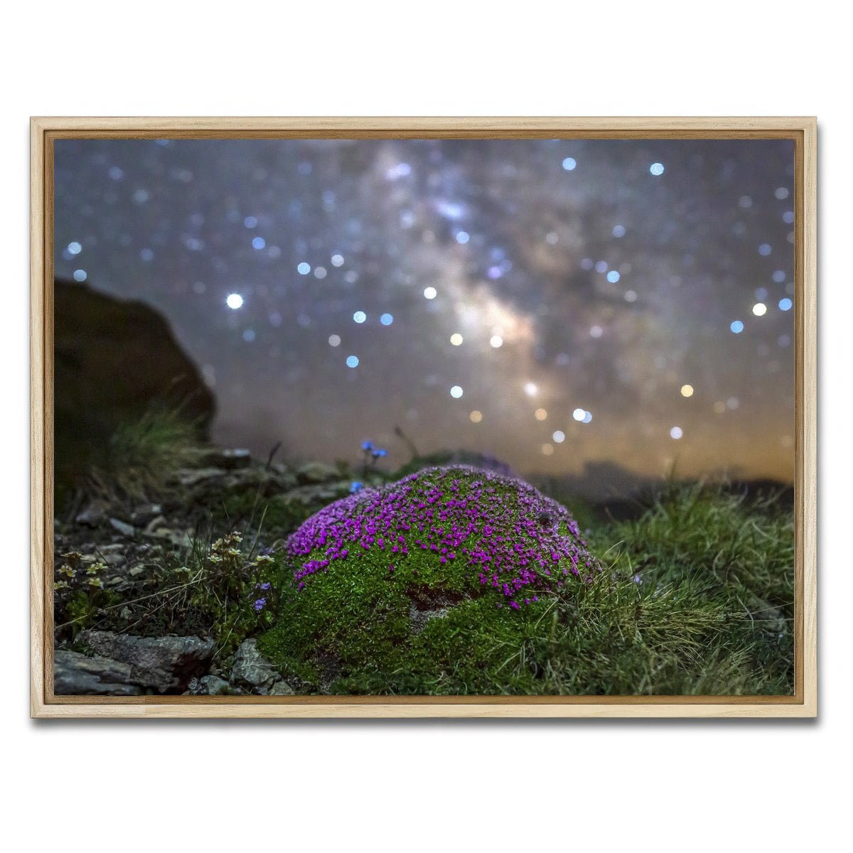 AUTO-MOCKUP WHITE | Star Studded Silene | 1 Piece | Natural Framed Canvas | group=4x3