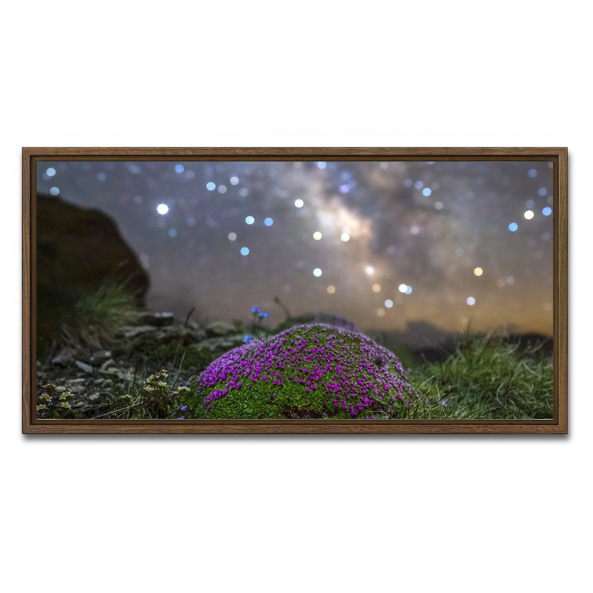 AUTO-MOCKUP WHITE | Star Studded Silene | 1 Piece | Walnut Framed Canvas | group=2x1