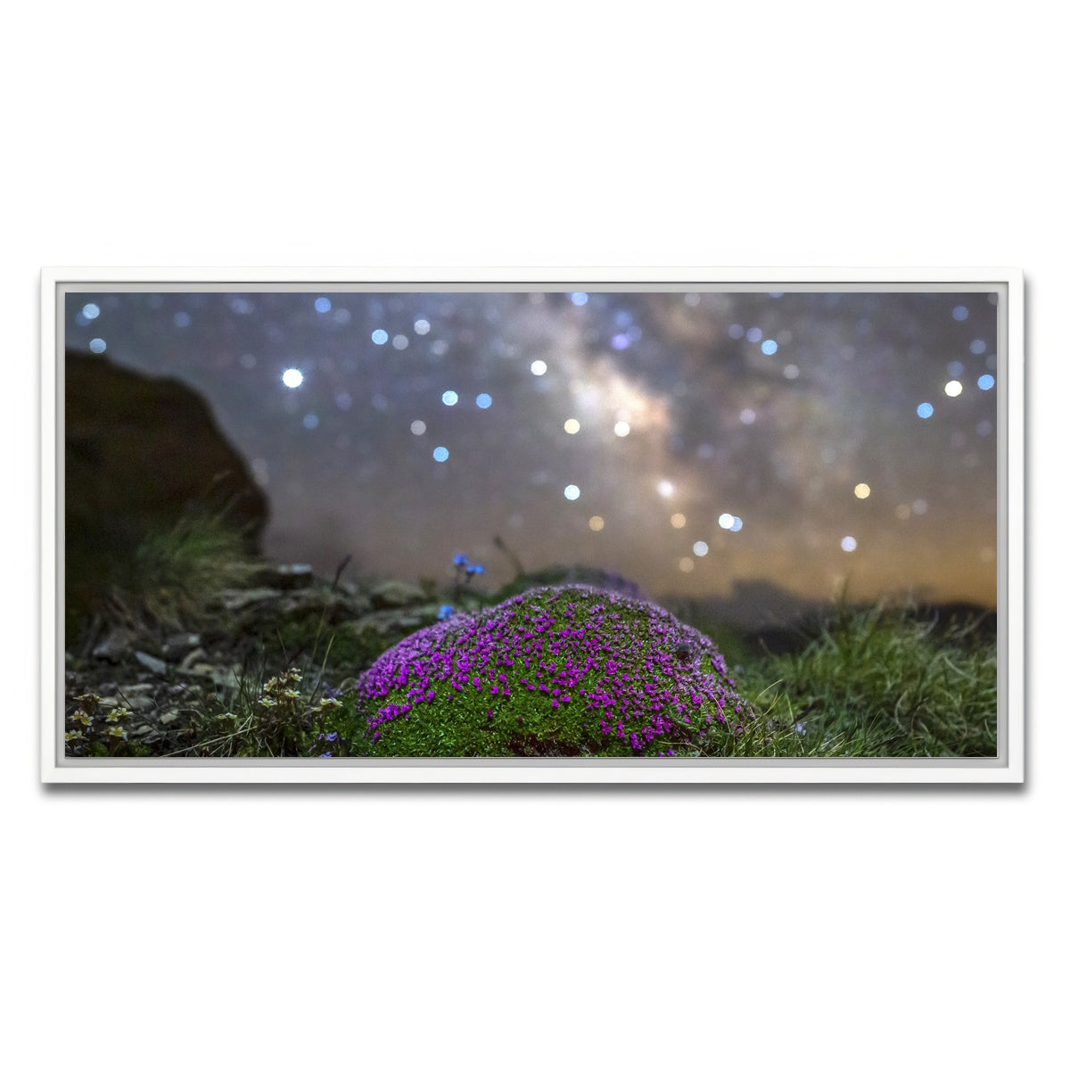 AUTO-MOCKUP WHITE | Star Studded Silene | 1 Piece | White Framed Canvas | group=2x1