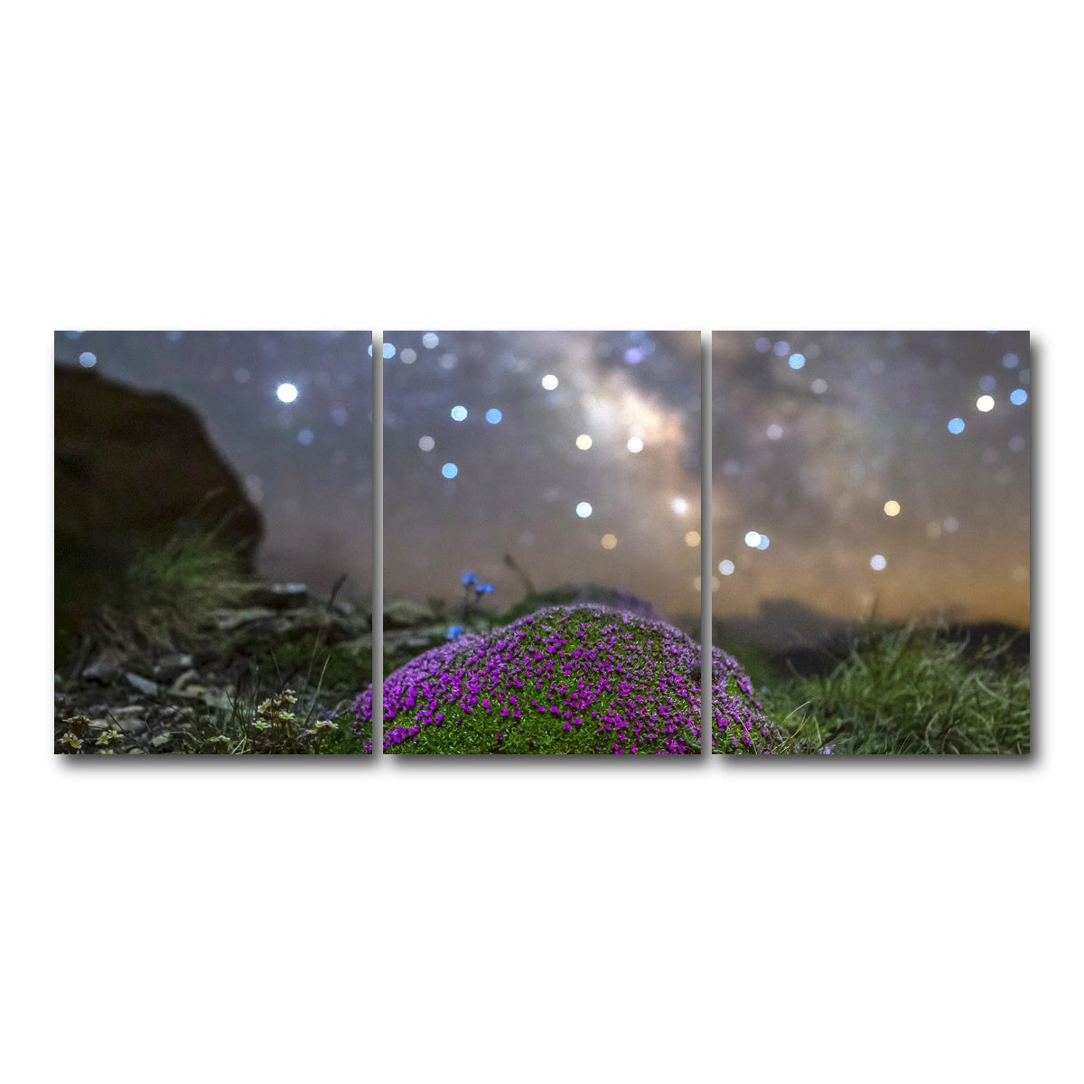 AUTO-MOCKUP WHITE | Star Studded Silene | 3 Piece | Gallery Wrap Canvas | group=18x24