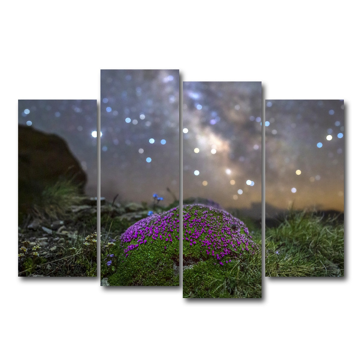 AUTO-MOCKUP WHITE | Star Studded Silene | 4 Piece | Gallery Wrap Canvas | group=4_normal