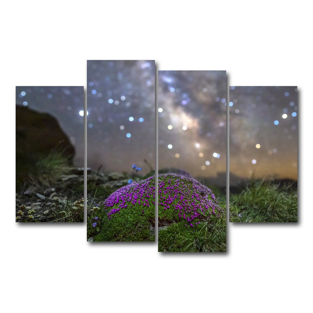 AUTO-MOCKUP WHITE | Star Studded Silene | 4 Piece | Gallery Wrap Canvas | group=4_short