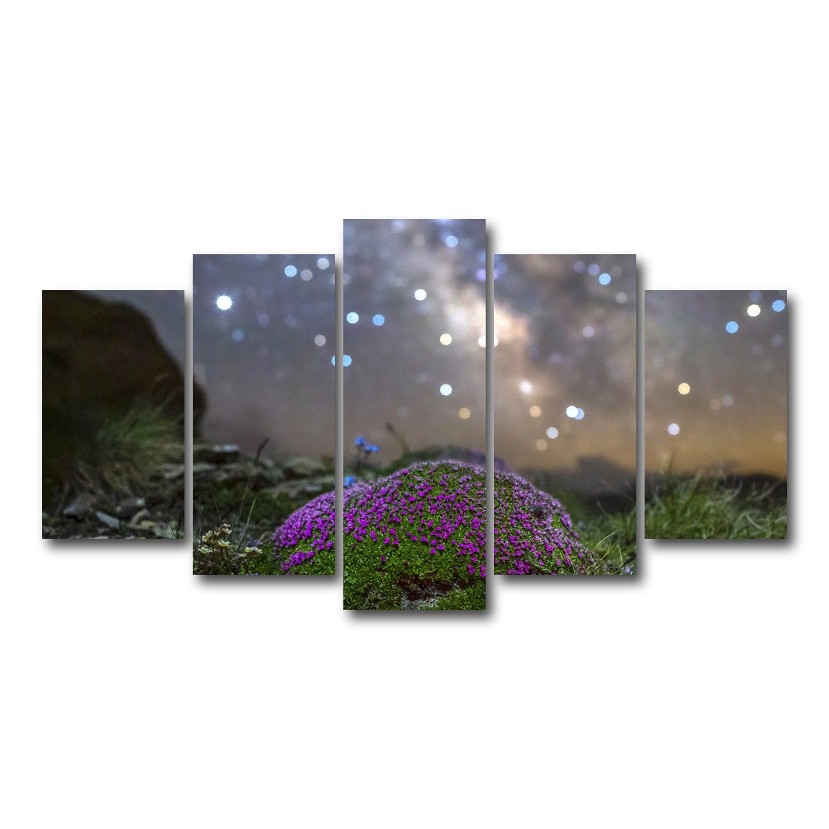 AUTO-MOCKUP WHITE | Star Studded Silene | 5 Piece | Gallery Wrap Canvas | group=5_normal