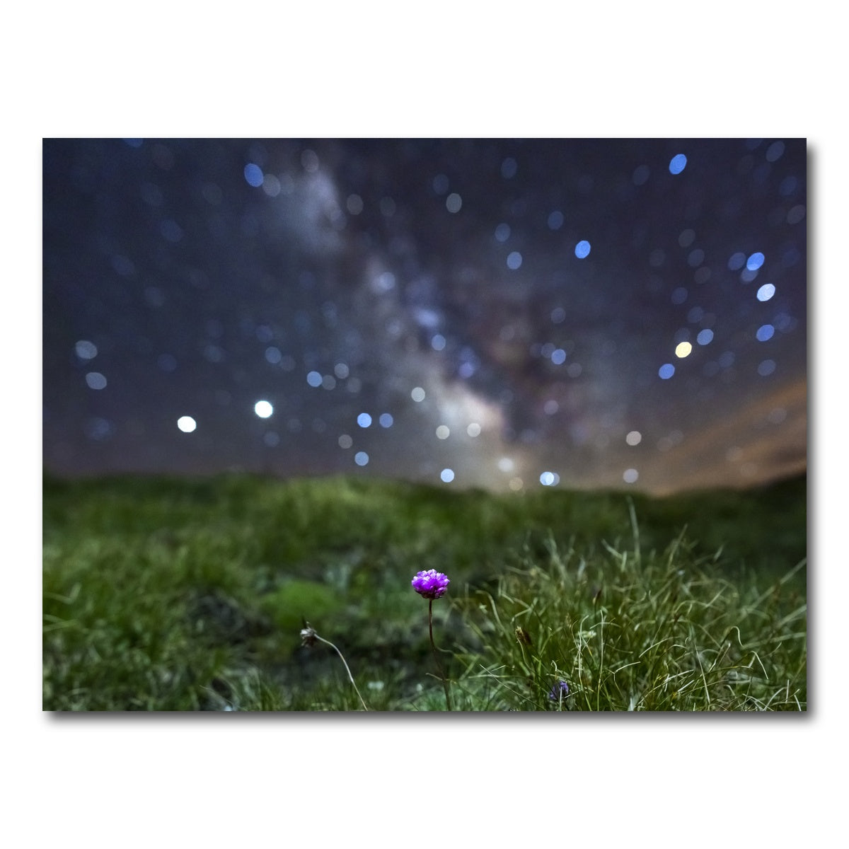 AUTO-MOCKUP WHITE | Star studded Armerie | 1 Piece | Gallery Wrap Canvas | group=4x3