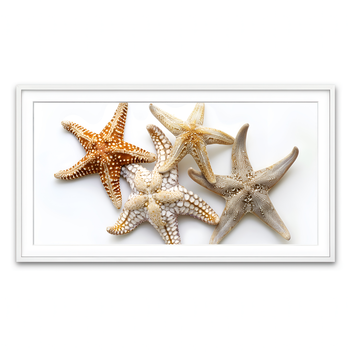 Framed Print 2x1 White