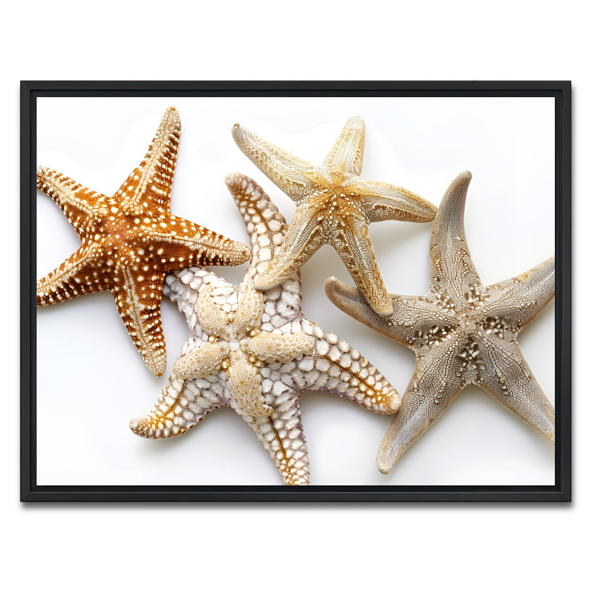 AUTO-MOCKUP WHITE | Starfishes | 1 Piece | Black Framed Canvas | group=4x3