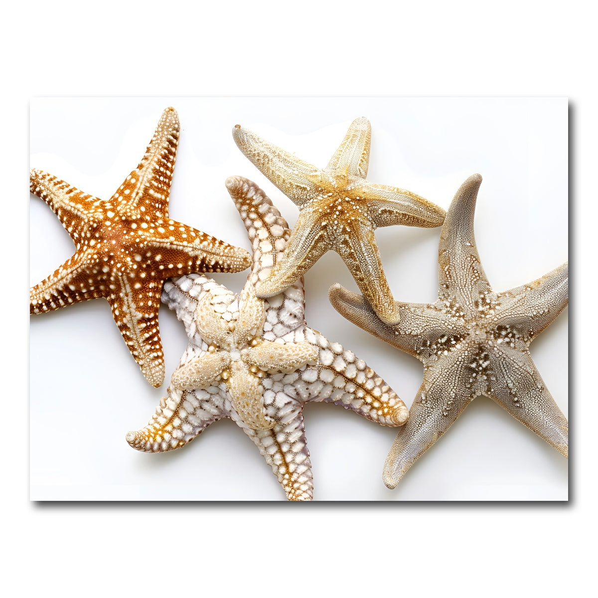 AUTO-MOCKUP WHITE | Starfishes | 1 Piece | Gallery Wrap Canvas | group=4x3
