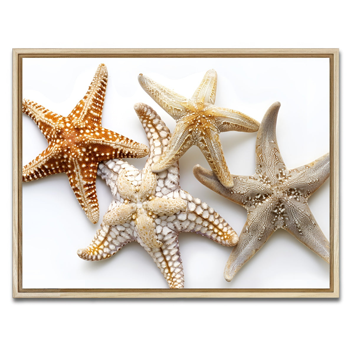 AUTO-MOCKUP WHITE | Starfishes | 1 Piece | Natural Framed Canvas | group=4x3
