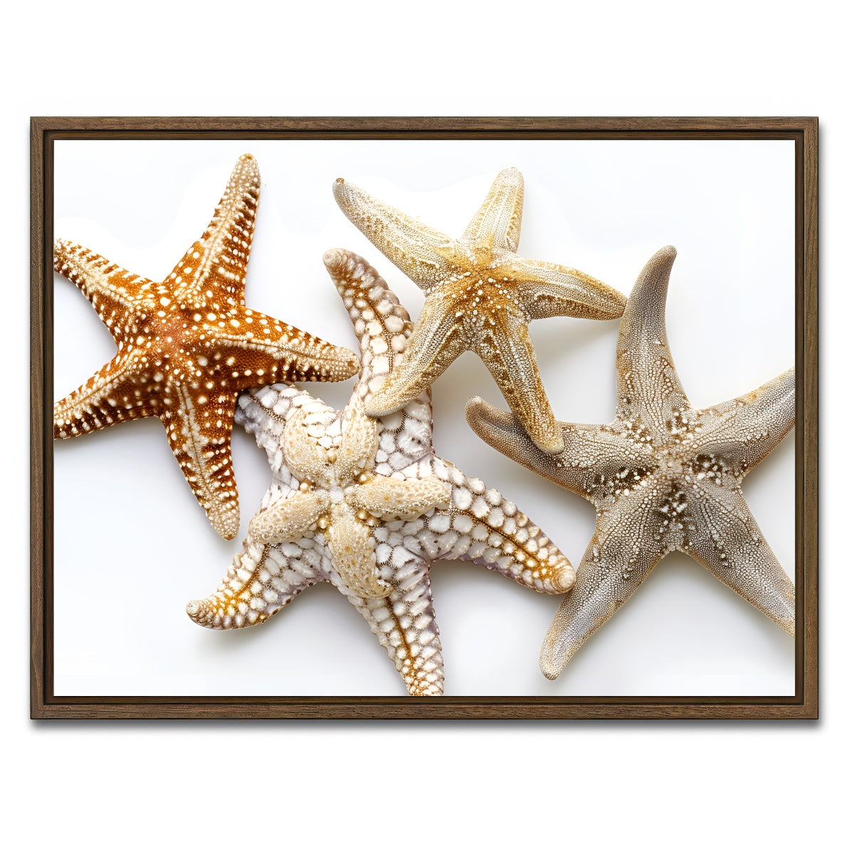 AUTO-MOCKUP WHITE | Starfishes | 1 Piece | Walnut Framed Canvas | group=4x3