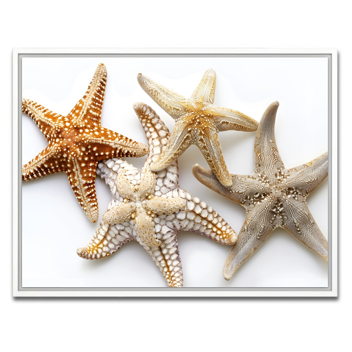 AUTO-MOCKUP WHITE | Starfishes | 1 Piece | White Framed Canvas | group=4x3