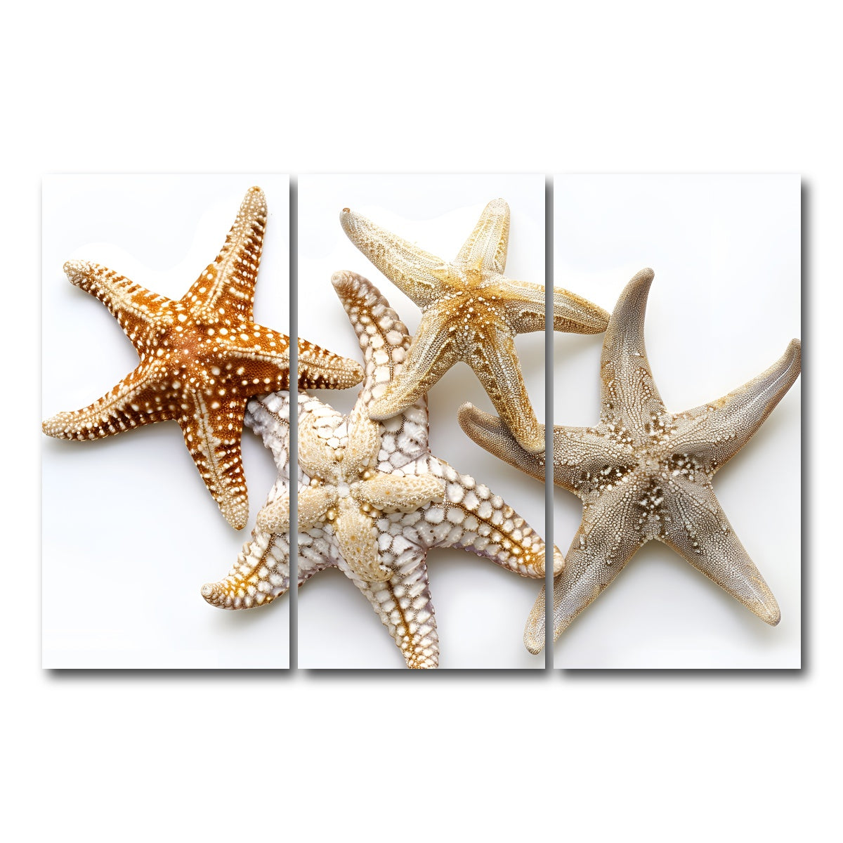 AUTO-MOCKUP WHITE | Starfishes | 3 Piece | Gallery Wrap Canvas | group=12x24