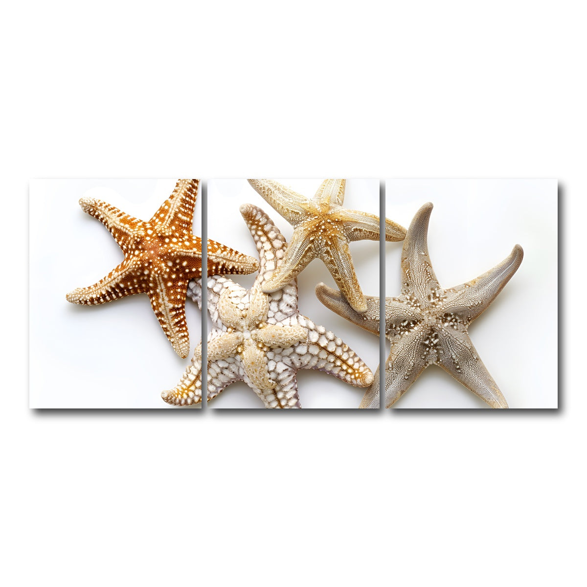 AUTO-MOCKUP WHITE | Starfishes | 3 Piece | Gallery Wrap Canvas | group=18x24