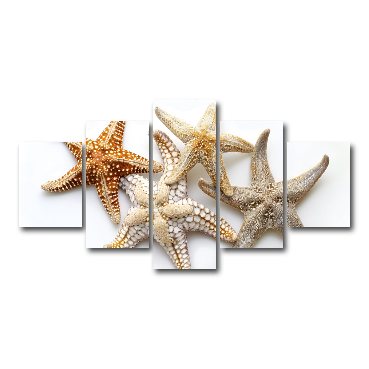 AUTO-MOCKUP WHITE | Starfishes | 5 Piece | Gallery Wrap Canvas | group=5_short