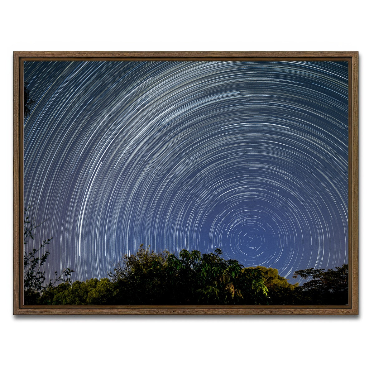 AUTO-MOCKUP WHITE | Startrail Polo Sul Celeste | 1 Piece | Walnut Framed Canvas | group=4x3