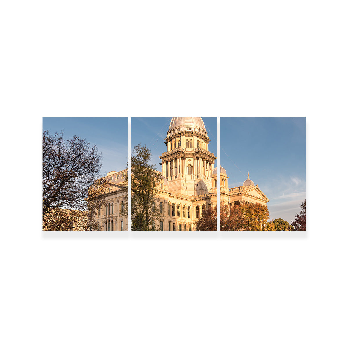 State Capitol in Springfield Wall Art