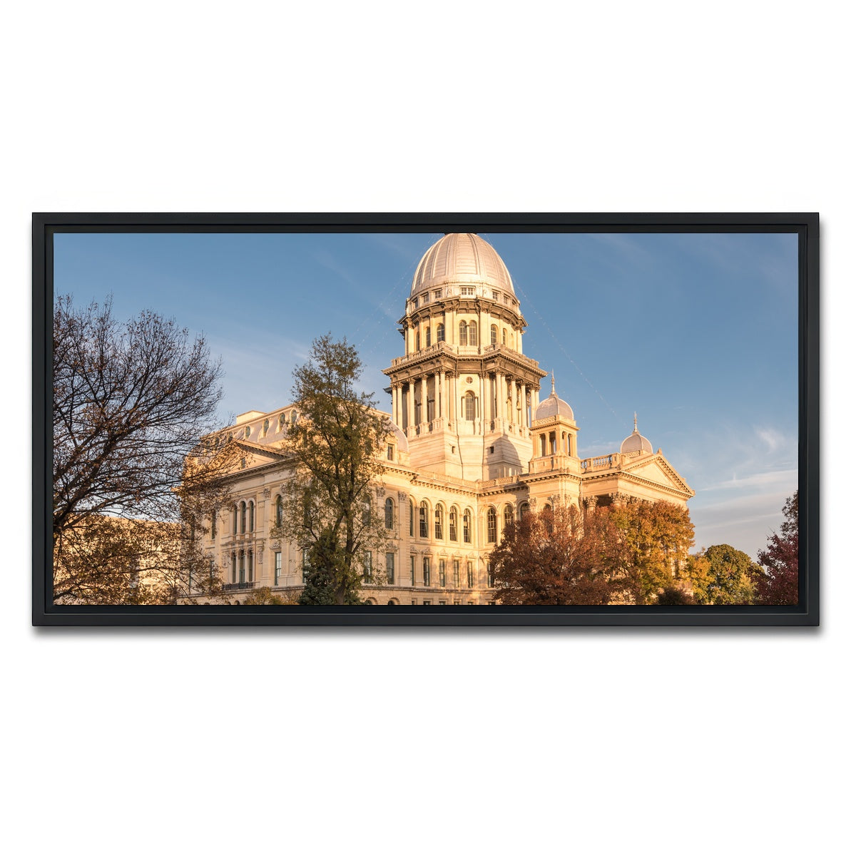 AUTO-MOCKUP WHITE | State Capitol in Springfield | 1 Piece | Black Framed Canvas | group=2x1