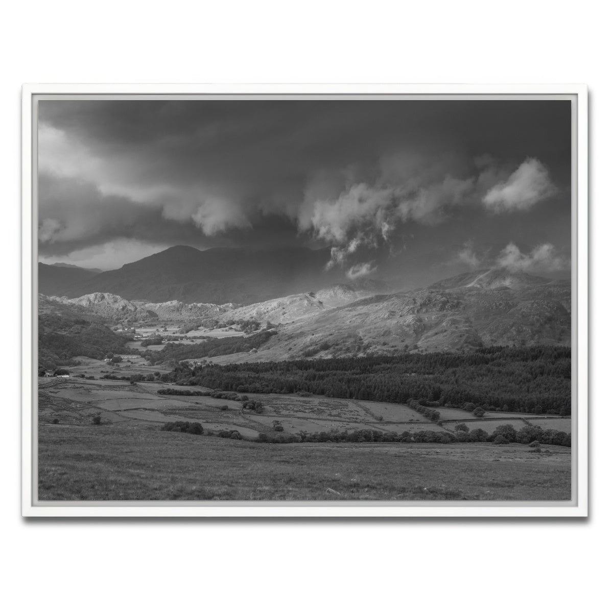 AUTO-MOCKUP WHITE | Stormy Fields | 1 Piece | White Framed Canvas | group=4x3