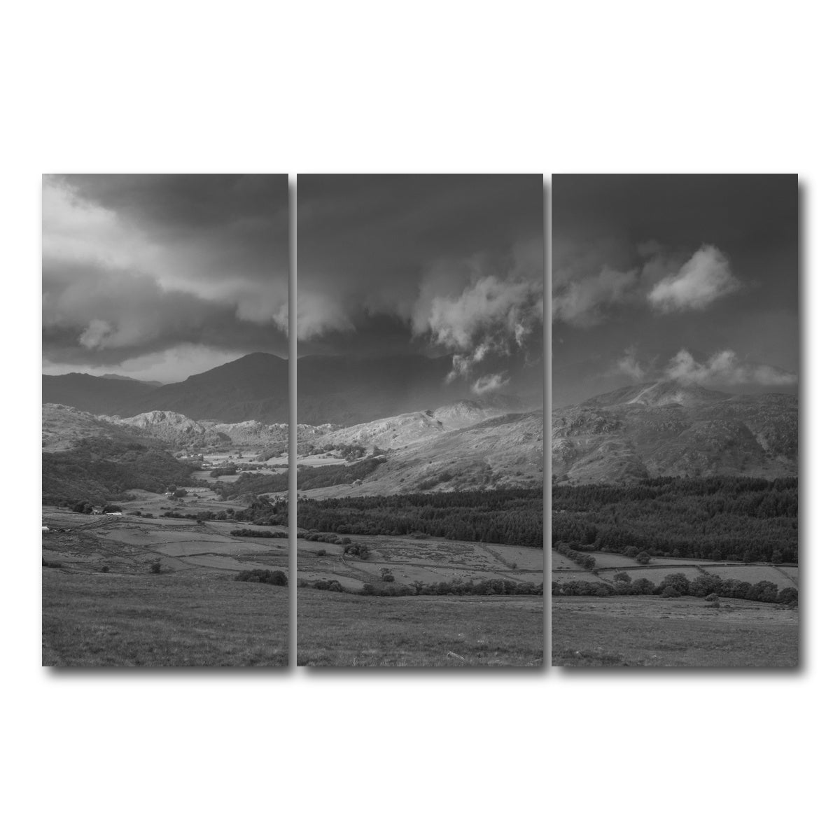AUTO-MOCKUP WHITE | Stormy Fields | 3 Piece | Gallery Wrap Canvas | group=12x24