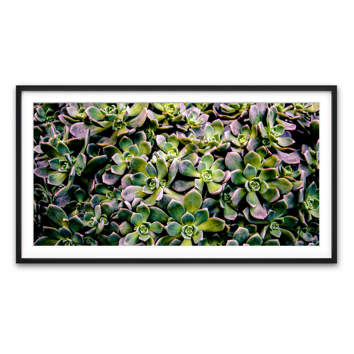 Framed Print 2x1 Black