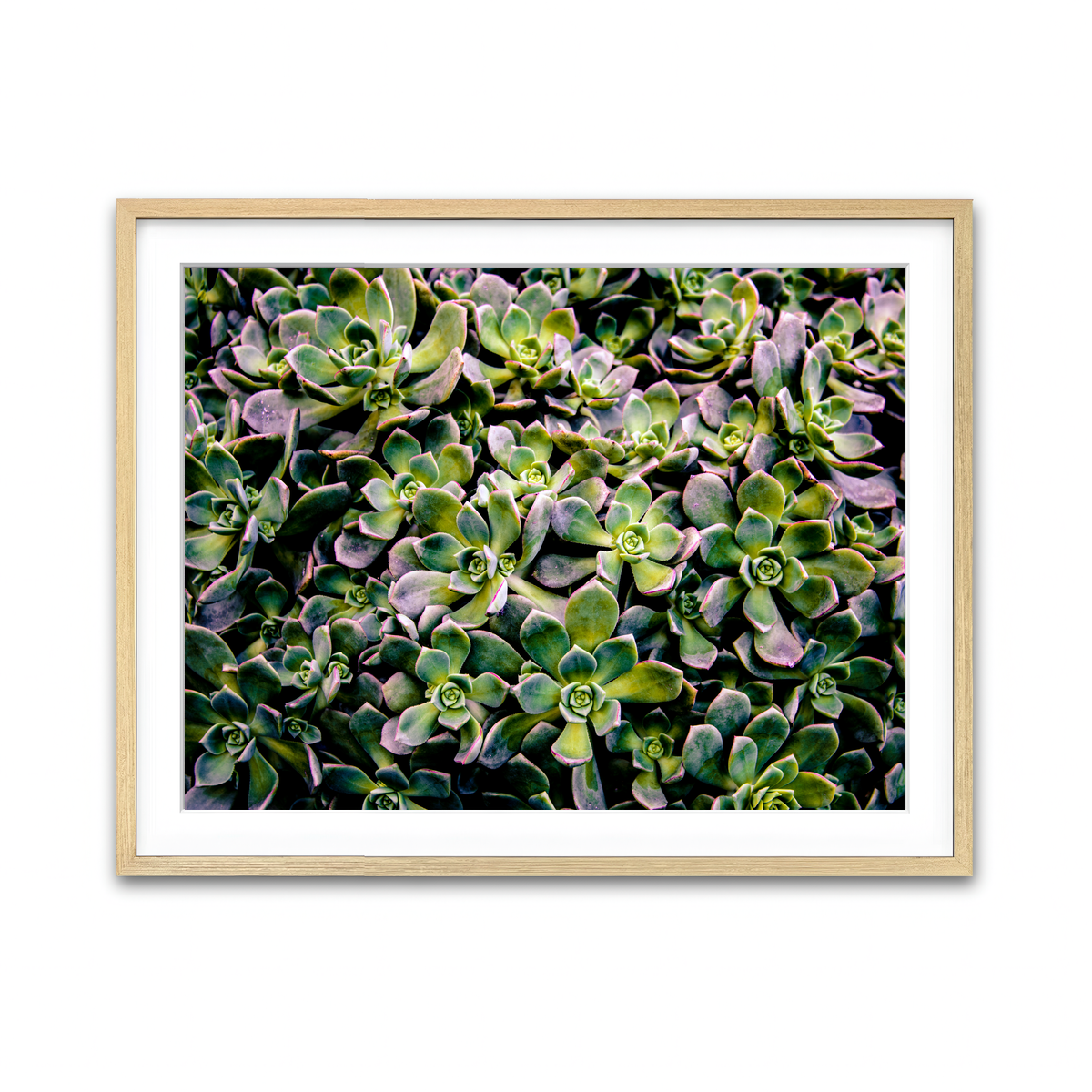 Framed Print 4x3 Natural