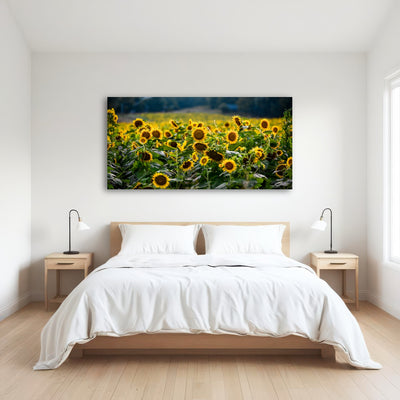 AUTO-MOCKUP ROOM | Sunflower Field