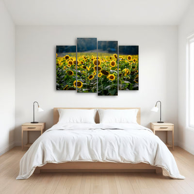 AUTO-MOCKUP ROOM | Sunflower Field