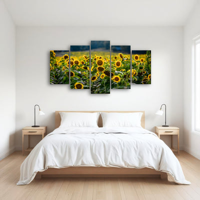 AUTO-MOCKUP ROOM | Sunflower Field
