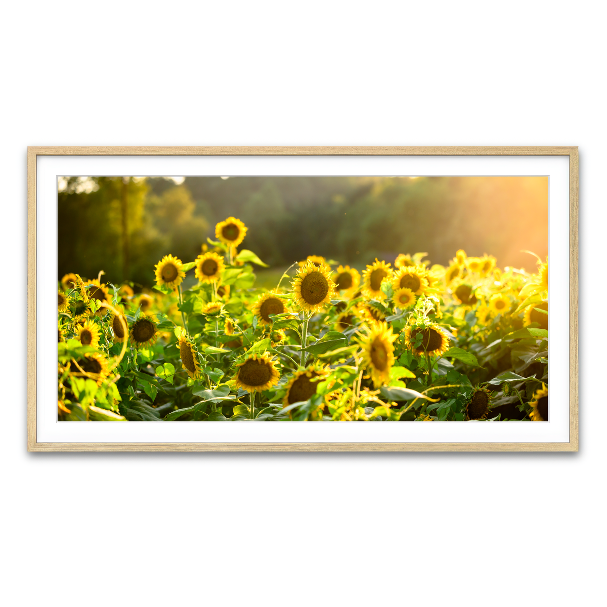 Framed Print 2x1 Natural