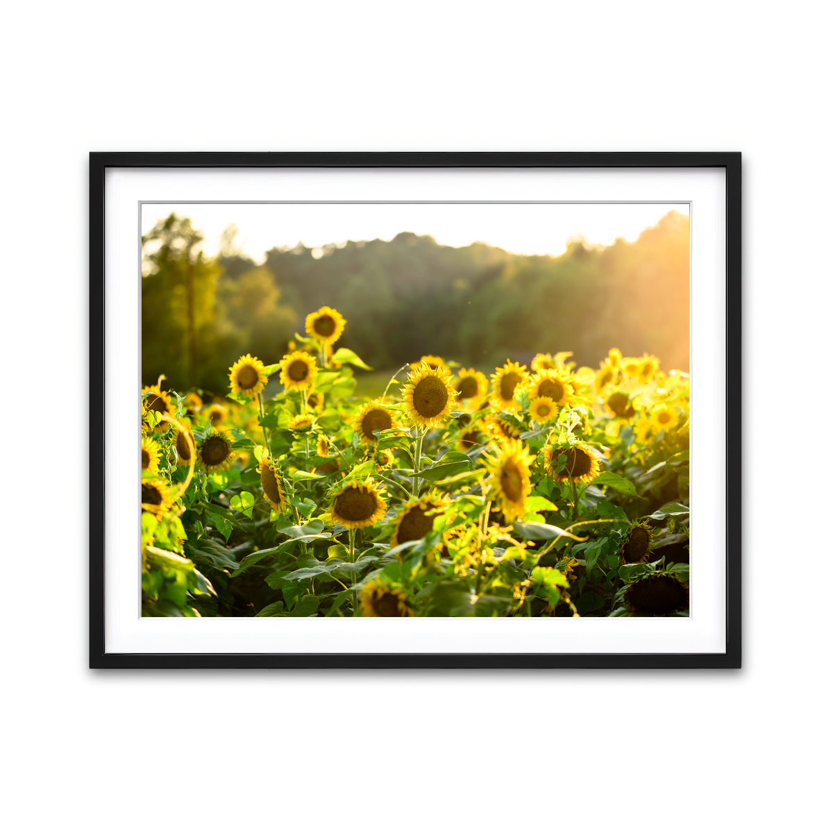 Framed Print 4x3 Black