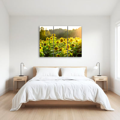 AUTO-MOCKUP ROOM | Sunflower Sunshine