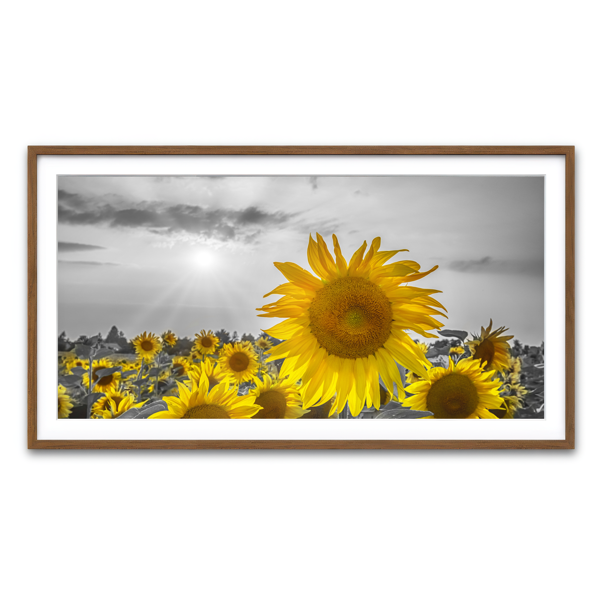 Framed Print 2x1 Walnut