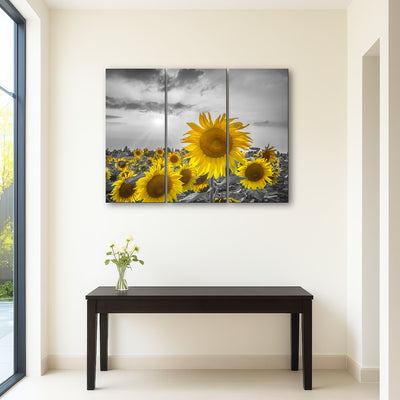 AUTO-MOCKUP ROOM | Sunflower field - yellow color pop