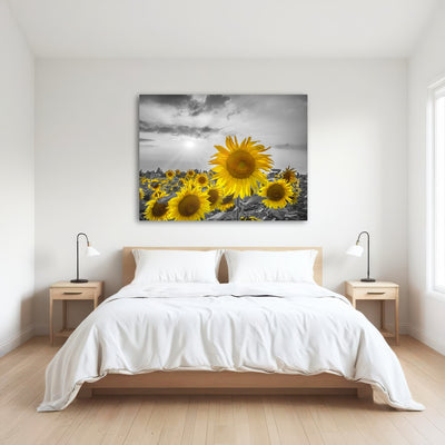 AUTO-MOCKUP ROOM | Sunflower field - yellow color pop