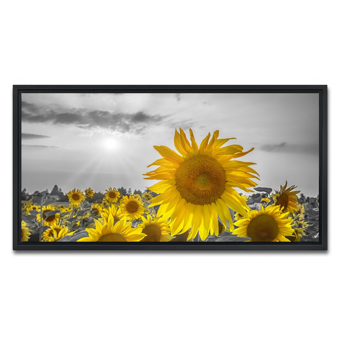 AUTO-MOCKUP WHITE | Sunflower field - yellow color pop | 1 Piece | Black Framed Canvas | group=2x1
