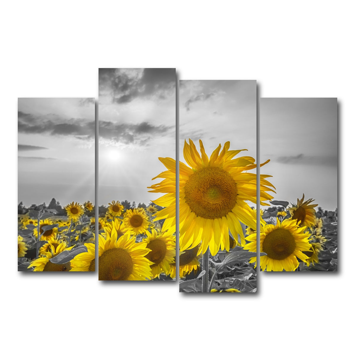 AUTO-MOCKUP WHITE | Sunflower field - yellow color pop | 4 Piece | Gallery Wrap Canvas | group=4_normal