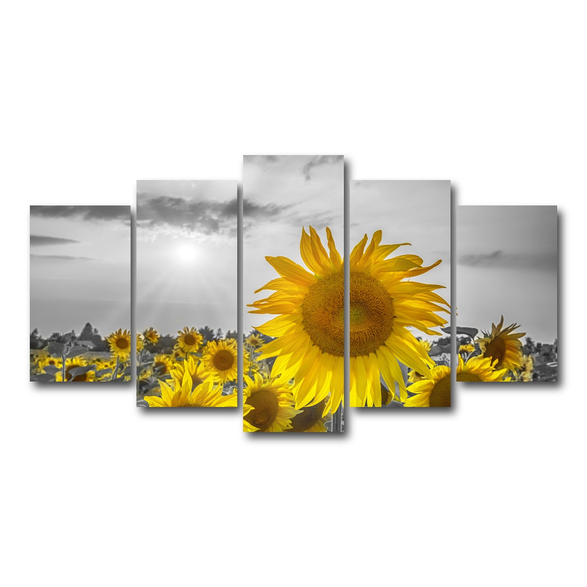 AUTO-MOCKUP WHITE | Sunflower field - yellow color pop | 5 Piece | Gallery Wrap Canvas | group=5_normal