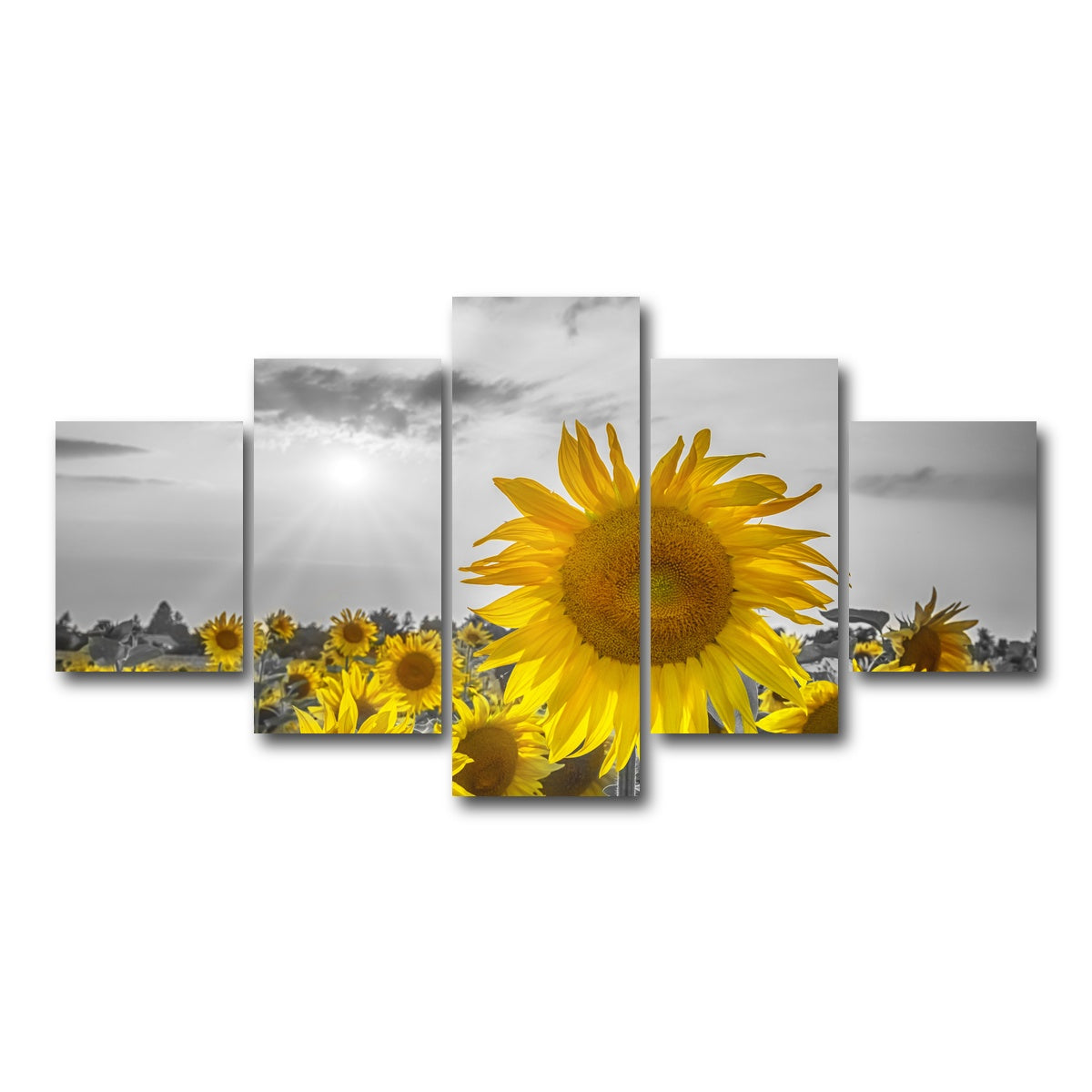 AUTO-MOCKUP WHITE | Sunflower field - yellow color pop | 5 Piece | Gallery Wrap Canvas | group=5_short