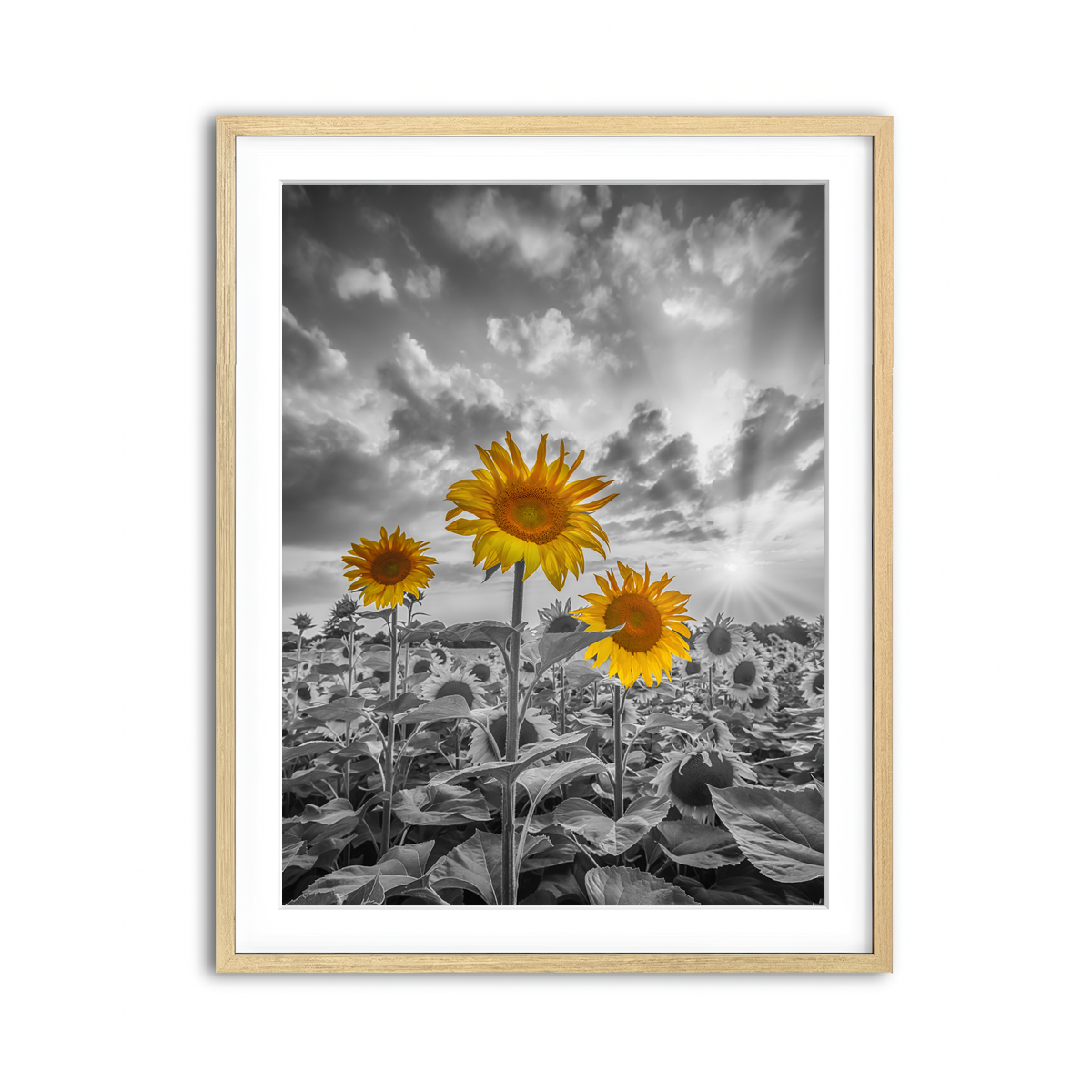 Framed Print 3x4 Natural