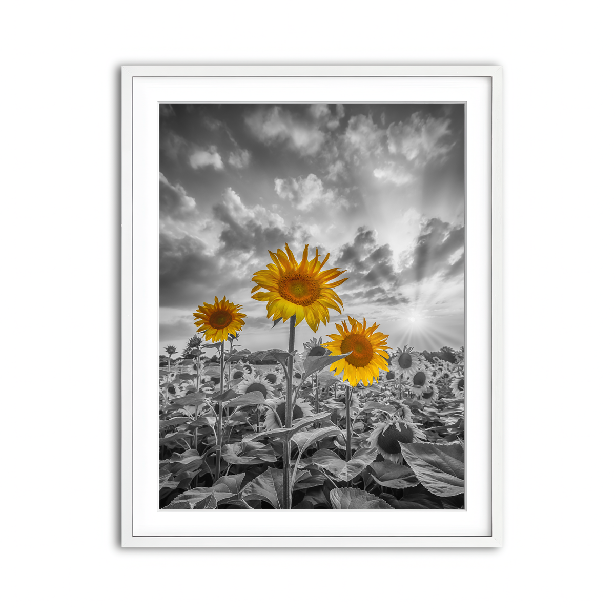 Framed Print 3x4 White