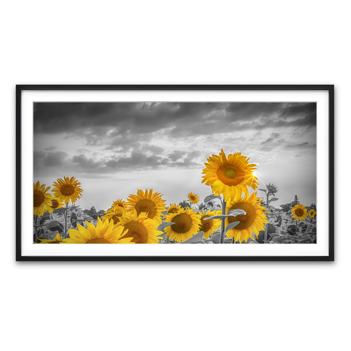 Framed Print 2x1 Black