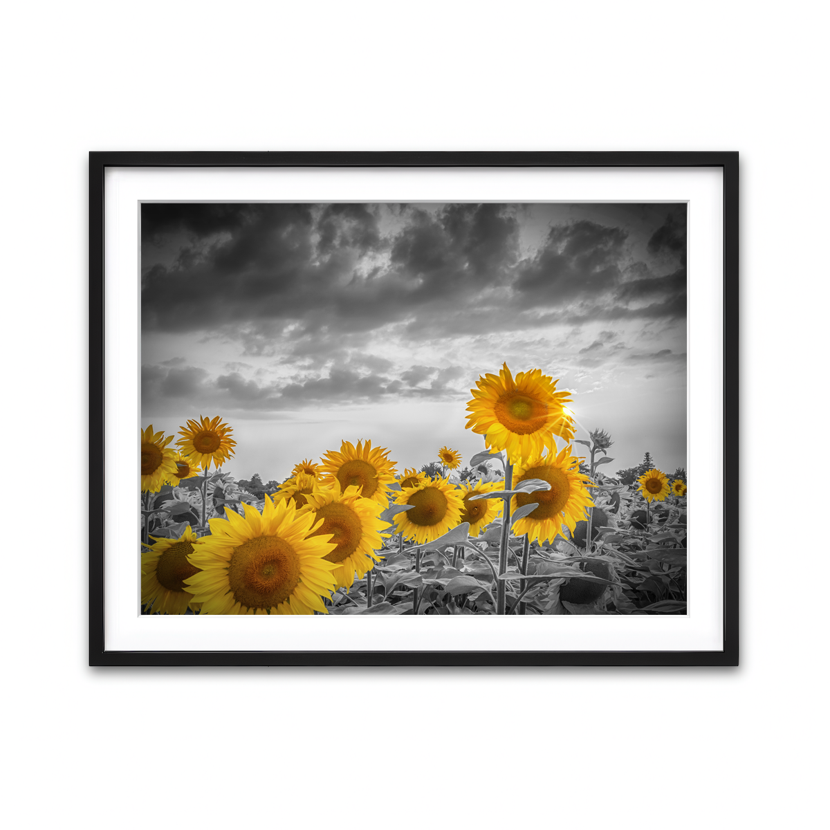 Framed Print 4x3 Black