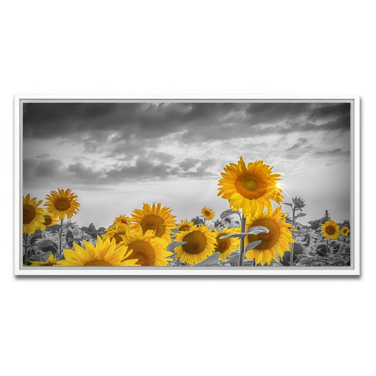AUTO-MOCKUP WHITE | Sunflowers in the evening | 1 Piece | White Framed Canvas | group=2x1