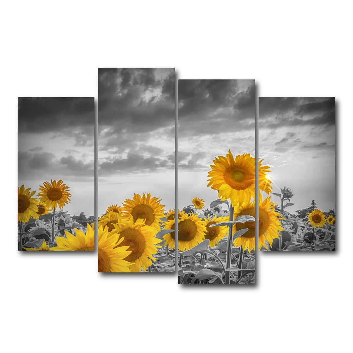 AUTO-MOCKUP WHITE | Sunflowers in the evening | 4 Piece | Gallery Wrap Canvas | group=4_short