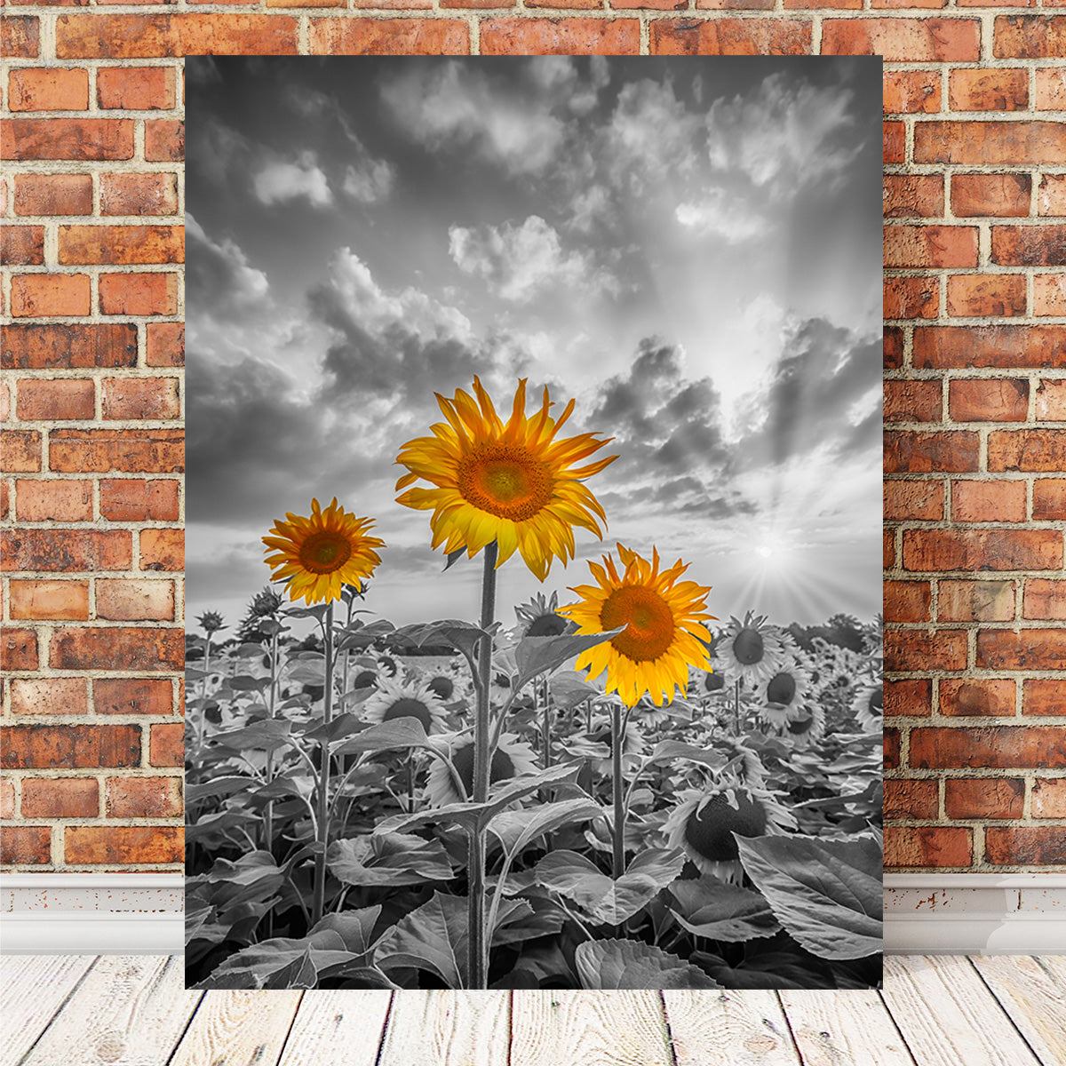 Sunflowers in Sunset Yellow Color Pop Wall Art