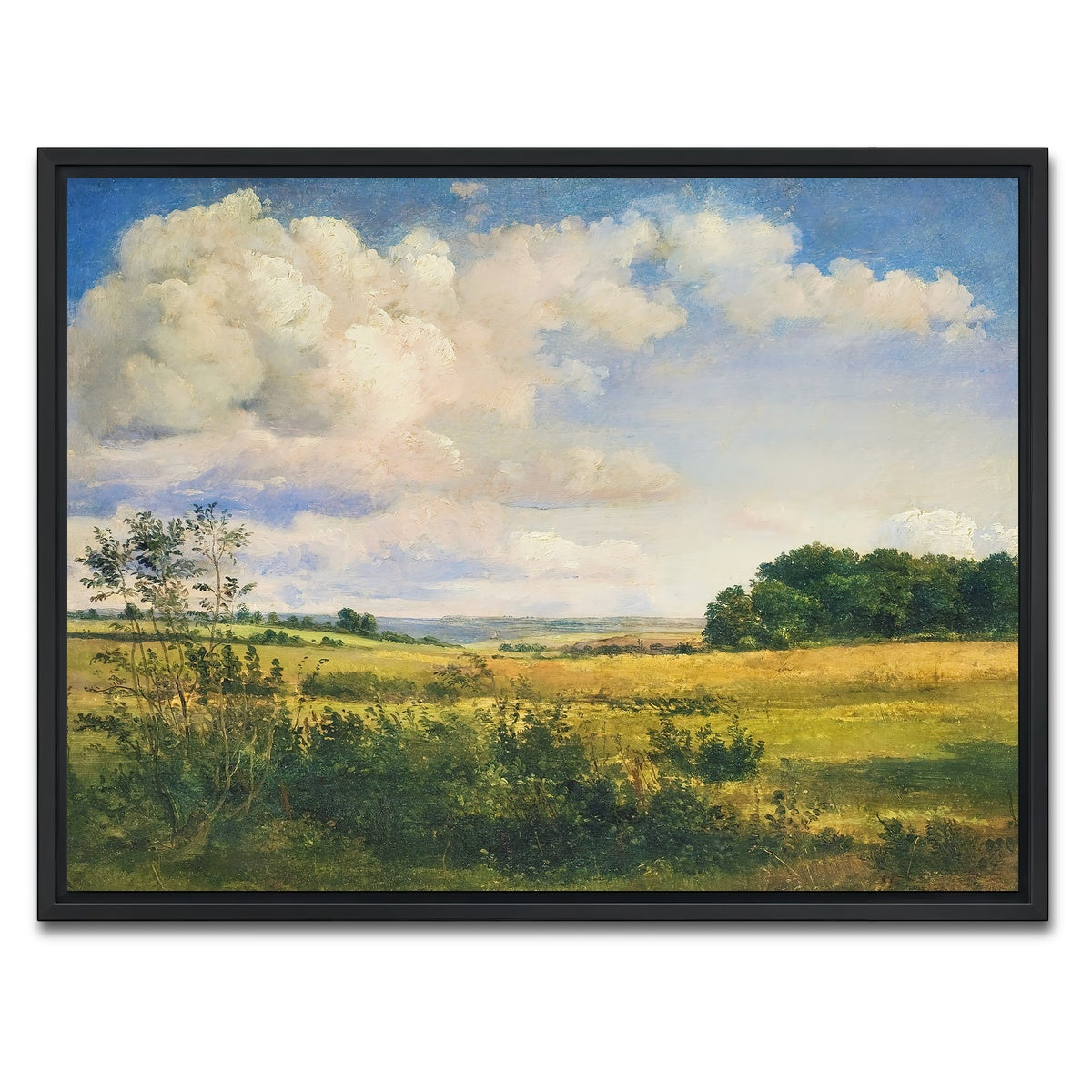 AUTO-MOCKUP WHITE | Sunlit Clouds | 1 Piece | Black Framed Canvas | group=4x3