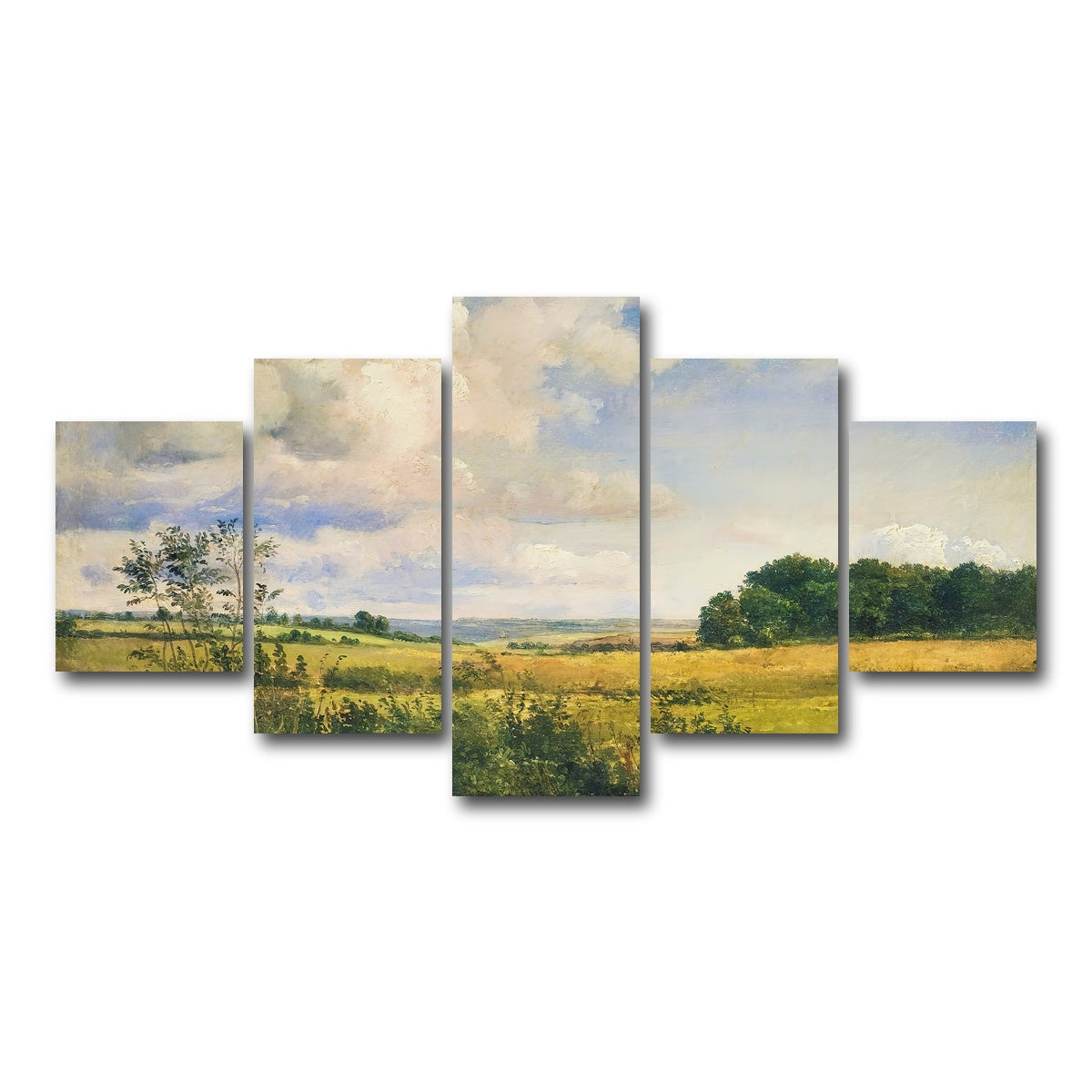 AUTO-MOCKUP WHITE | Sunlit Clouds | 5 Piece | Gallery Wrap Canvas | group=5_short